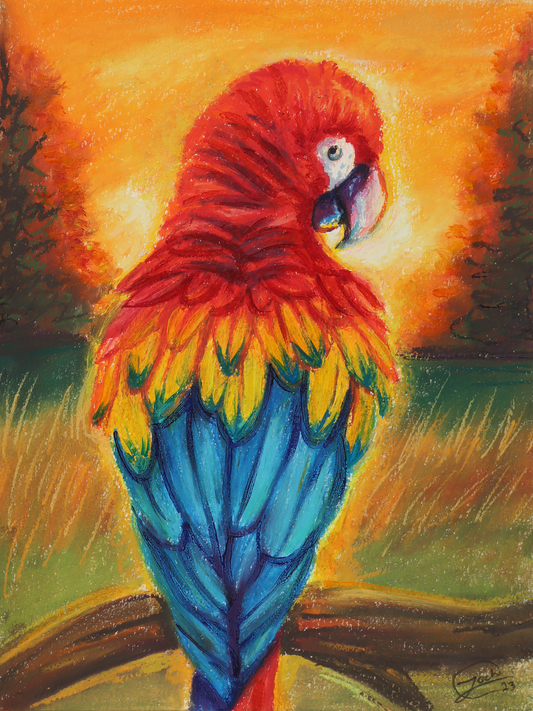 Guacamaya al Fuego del Atardecer - Obra Original
